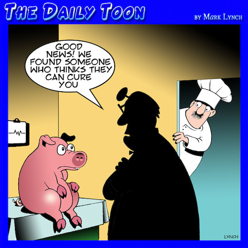 Cartoon: Cured ham (medium) by toons tagged pigs,ham,chef,cured,pork,pigs,ham,chef,cured,pork