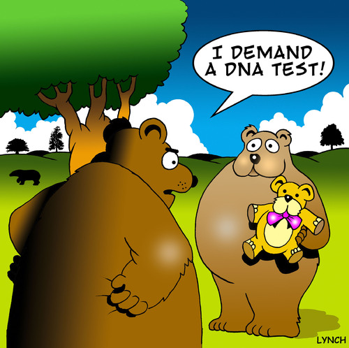 Cartoon: DNA (medium) by toons tagged dna,science,genes,adoption,surrogate,parenthood,bears,teddy,bear,paternal