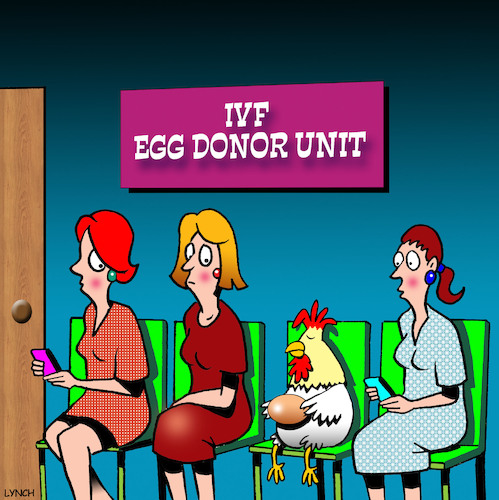 Egg donor