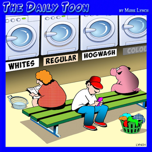 Cartoon: Laundromat (medium) by toons tagged pigs,laundromat,laundry,washing,hogs,pigs,laundromat,laundry,washing,hogs