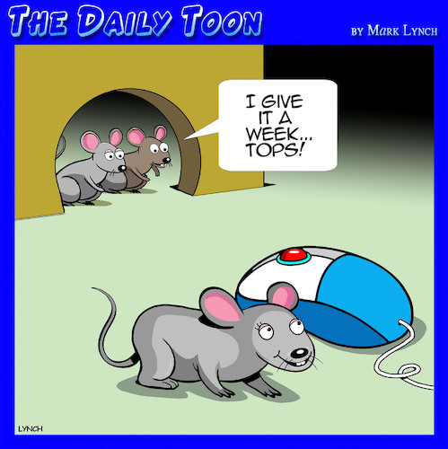 Mouse love