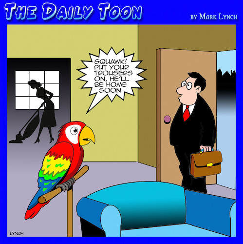 Cartoon: Parrot (medium) by toons tagged husbands,unfaithful,husbands,unfaithful