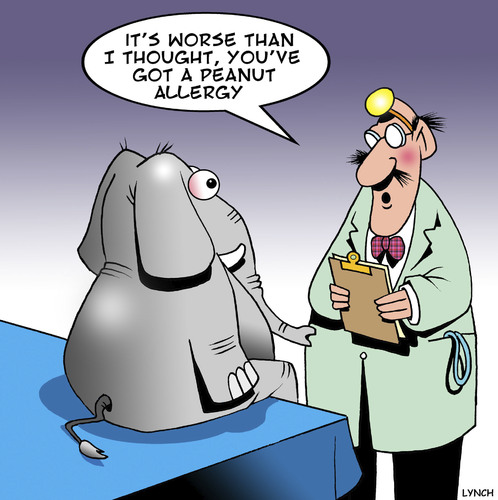 Cartoon: Peanut allergy (medium) by toons tagged elephants,peanut,allergy,allergies,doctors,health,elephants,peanut,allergy,allergies,doctors,health