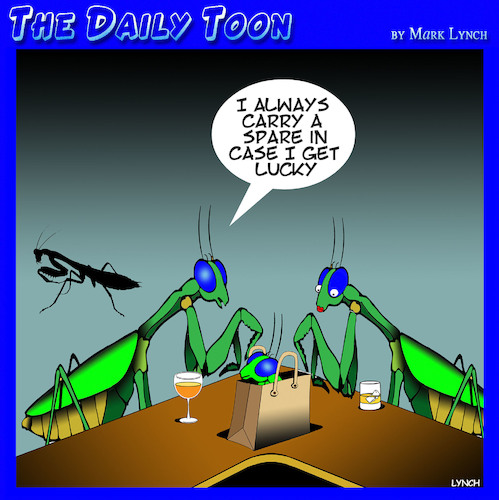 Cartoon: Praying Mantis (medium) by toons tagged mantis,little,head,mantis,little,head