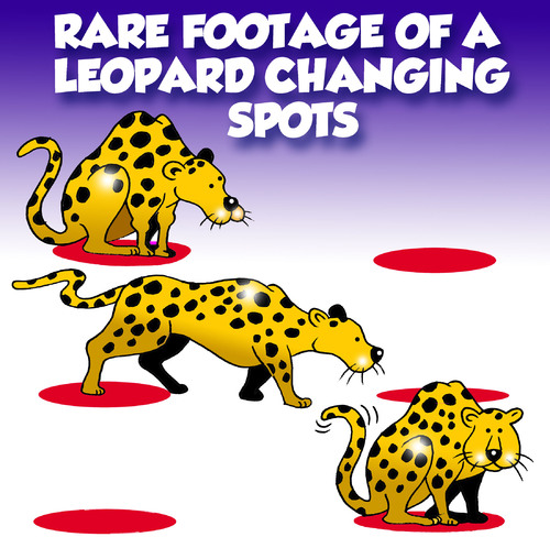 Cartoon: rare footage (medium) by toons tagged leopard,changing,your,spots,cats,felines,habits,africa,footage,rare