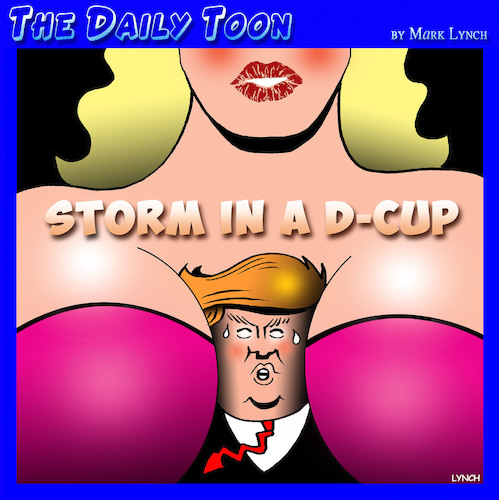 Cartoon: Stormy Daniels (medium) by toons tagged donald,trump,stormy,daniels,star,white,house,scandal,and,boobs,breasts,cup,donald,trump,stormy,daniels,porn,star,white,house,scandal,and,boobs,breasts,cup