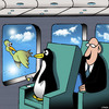 Flying penguin