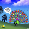 Cartoon: Narcissism Peacock (small) by toons tagged peacocks narcissism birds show off