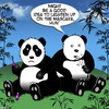 Cartoon: Panda makeup (small) by toons tagged mascara,pandas,womens,makeup,bears,black,eyes,animals,beauty