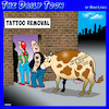 Cartoon: Tattoo removal (small) by toons tagged cows,tattoos,cow,branding,tattoo,removal,farm,animals