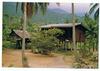 Cartoon: Home Sweet Home (small) by RnRicco tagged bungalow hut djungle palm palms ricco travel world