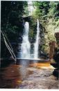 Cartoon: Quebrada de Jaspe - Kaku Paru (small) by RnRicco tagged waterfall water djungls venezuela national park ricco