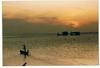 Cartoon: Siamese Sunset (small) by RnRicco tagged sunset,ricco,siam,thailand,koh,maa,pha,ngan