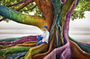 Cartoon: Just Dreaming (small) by BenHeine tagged dreaming,dream,colors,colorful,tree,nature,protection,cocoon