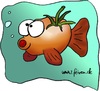 Cartoon: Tomatenfisch (small) by feixen tagged tomate fisch