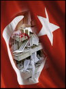 Cartoon: Earthquake in Turkey! (small) by willemrasingart tagged turkey