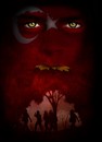 Cartoon: Turkish tree (small) by willemrasingart tagged turkey,2013
