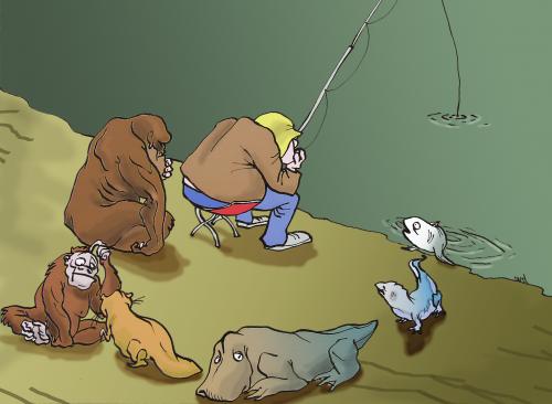 Cartoon: evolution (medium) by andart tagged evolution,fisherman,