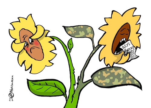 Cartoon: Blumenspaltung (medium) by Pfohlmann tagged grüne,sonnenblume,spaltung,partei,asylrecht,asyl,eu,flüchtlinge,flucht,krieg,ukraine,ukrainekrieg,waffenlieferungen,grüne,sonnenblume,spaltung,partei,asylrecht,asyl,eu,flüchtlinge,flucht,krieg,ukraine,ukrainekrieg,waffenlieferungen