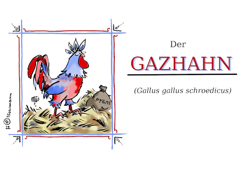 Cartoon: Der Gazhahn (medium) by Pfohlmann tagged gazprom,ukraine,russland,krieg,schröder,altkanzler,hahn,gockel,gashahn,erdgas,energie,nordstream,polen,bulgarien,rubel,gazprom,ukraine,russland,krieg,schröder,altkanzler,hahn,gockel,gashahn,erdgas,energie,nordstream,polen,bulgarien,rubel