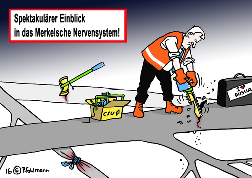 Merkels Nervensystem