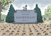 Kältewelle seit 2010