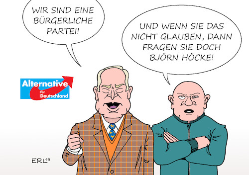 Cartoon: AfD-Beweis (medium) by Erl tagged politik,landtagswahl,brandenburg,sachsen,stärkung,afd,rechtspopulismus,rechtsextremismus,fremdenfeindlichkeit,selbstwahrnehmung,bürgerlich,volkspartei,alexander,gauland,skinhead,björn,höcke,der,flügel,karikatur,erl,politik,landtagswahl,brandenburg,sachsen,stärkung,afd,rechtspopulismus,rechtsextremismus,fremdenfeindlichkeit,selbstwahrnehmung,bürgerlich,volkspartei,alexander,gauland,skinhead,björn,höcke,der,flügel,karikatur,erl