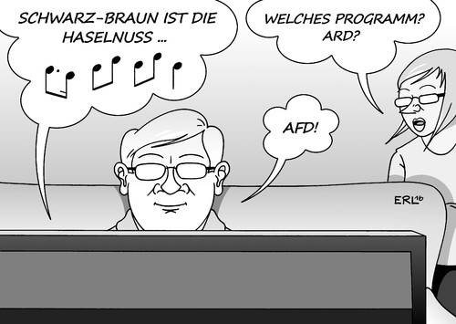 AfD-Programm