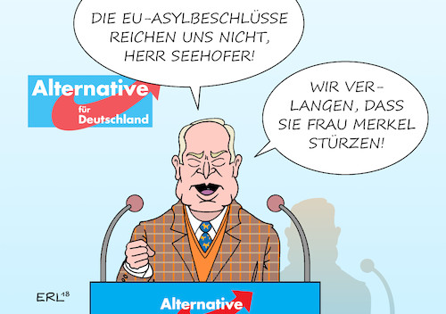 AfD Parteitag