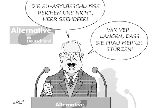 AfD Parteitag