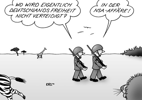 Afrika-Einsatz