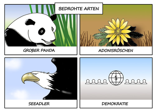 Bedrohte Arten