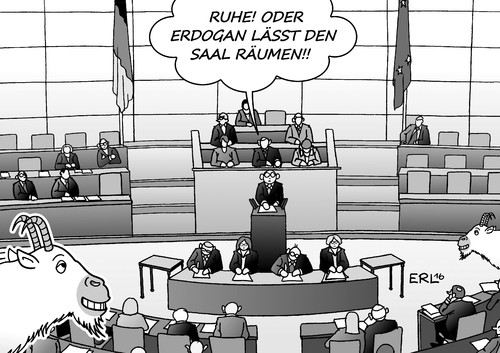 Bundestag Erdogan