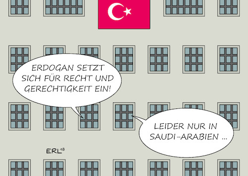 Cartoon: Erdogan Saudi-Arabien (medium) by Erl tagged politik,saudi,arabien,konsulat,istanbul,mord,journalist,khashoggi,königshaus,bestätigung,tod,videoaufnahmen,anreise,killer,killerkommando,kronprinz,untersuchung,ermittlungen,türkei,bericht,präsident,erdogan,forderung,recht,gerechtigkeit,gegensatz,präsidialsystem,missachtung,grundrechte,demokratie,verhaftungen,gefängnis,karikatur,erl,politik,saudi,arabien,konsulat,istanbul,mord,journalist,khashoggi,königshaus,bestätigung,tod,videoaufnahmen,anreise,killer,killerkommando,kronprinz,untersuchung,ermittlungen,türkei,bericht,präsident,erdogan,forderung,recht,gerechtigkeit,gegensatz,präsidialsystem,missachtung,grundrechte,demokratie,verhaftungen,gefängnis,karikatur,erl