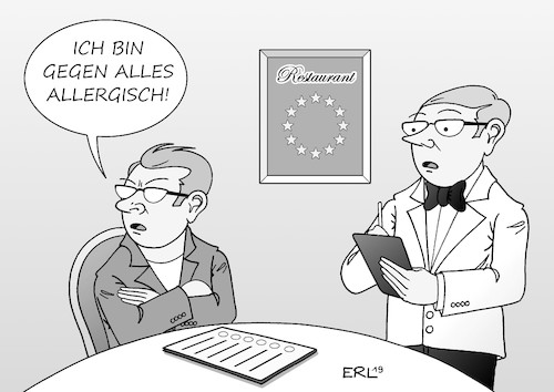 Europawähler