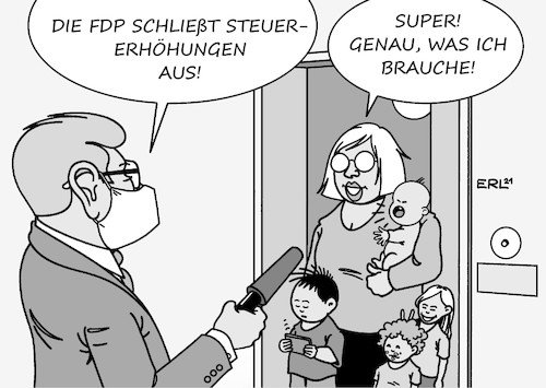 FDP Steuererhöhungen