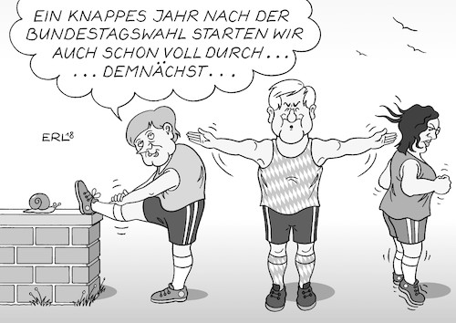 Groko