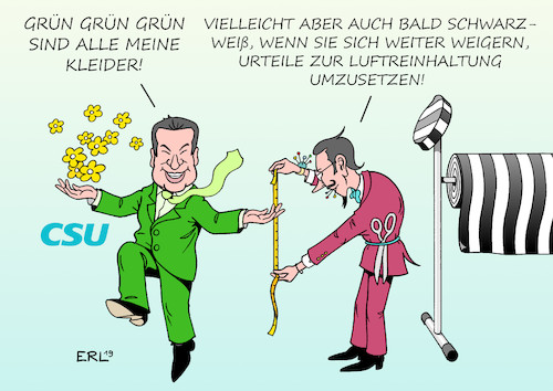 Grüner Söder