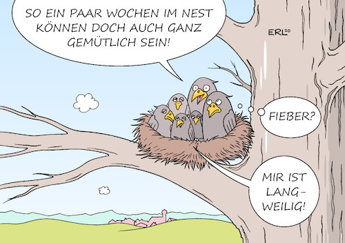 Cartoon: im Nest (medium) by Erl tagged politik,gesundheit,krankheit,infektion,covid19,corona,virus,coronavirus,fieber,schließung,schulen,kindergärten,kitas,geschäfte,änderung,verhalten,sozialkontakte,quarantäne,zuhause,familie,nest,vögel,karikatur,erl,politik,gesundheit,krankheit,infektion,covid19,corona,virus,coronavirus,fieber,schließung,schulen,kindergärten,kitas,geschäfte,änderung,verhalten,sozialkontakte,quarantäne,zuhause,familie,nest,vögel,karikatur,erl