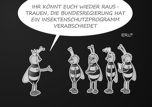 Insektenschutz