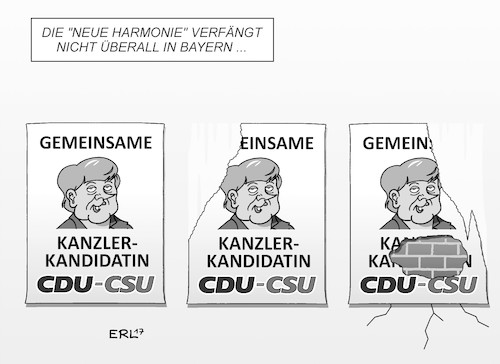 Kanzlerkandidatin Kanzlerkandidatin