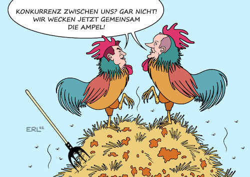 Cartoon: Krähen die Hähne ... (medium) by Erl tagged politik,partei,parteitag,csu,bayern,ministerpräsident,markus,söder,gast,cdu,friedrich,merz,frage,konkurrenz,kritik,bundesregierung,ampel,spd,grüne,fdp,hahn,hähne,misthaufen,karikatur,erl,politik,partei,parteitag,csu,bayern,ministerpräsident,markus,söder,gast,cdu,friedrich,merz,frage,konkurrenz,kritik,bundesregierung,ampel,spd,grüne,fdp,hahn,hähne,misthaufen,karikatur,erl