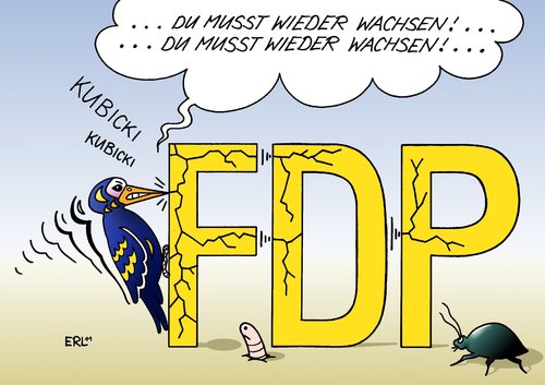 Cartoon: Kubicki (medium) by Erl tagged fdp,landesvorsitzender,schleswig,holstein,wolfgang,kubicki,störenfried,streit,führungsdiskussion,umfrage,wähler,vorsitz,bund,guido,westerwelle,specht,sprung,fdp,landesvorsitzender,schleswig holstein,kubicki,störenfried,streit,führungsdiskussion,umfrage,wähler,vorsitz,bund,guido westerwelle,specht,sprung,schleswig,holstein,guido,westerwelle