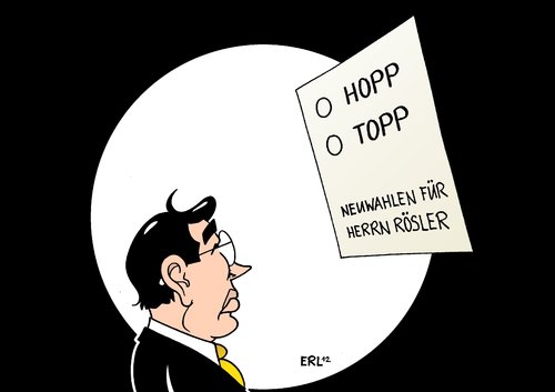 Neuwahlen für Herrn Rösler