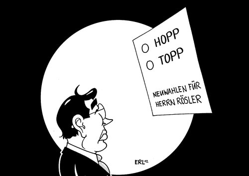 Neuwahlen für Herrn Rösler