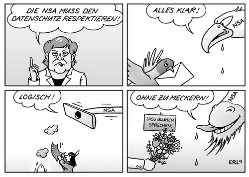 NSA Datenschutz