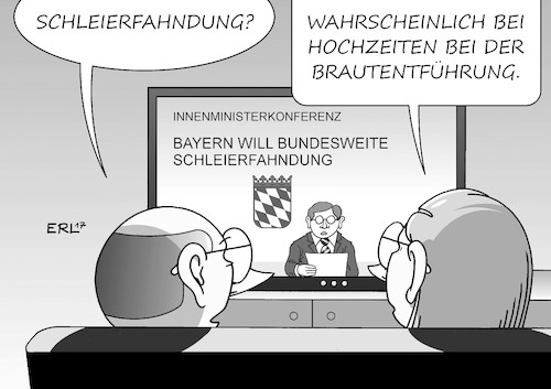 Schleierfahndung Schleierfahndung