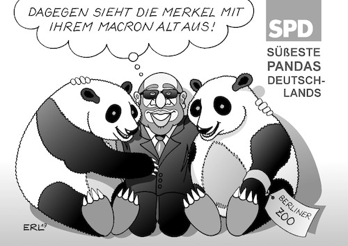 SPD Pandas SPD Pandas