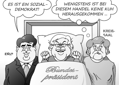 Steinmeier Steinmeier