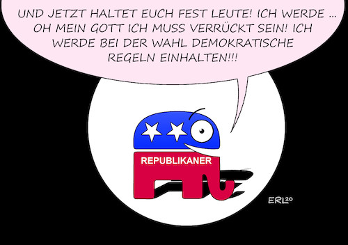 US-Wahlwerbung